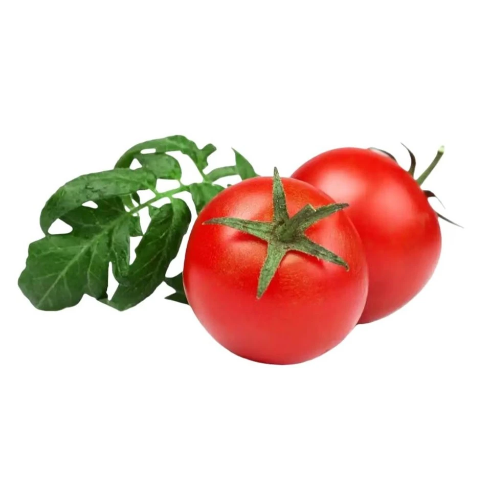 Natural Lycopene high quality